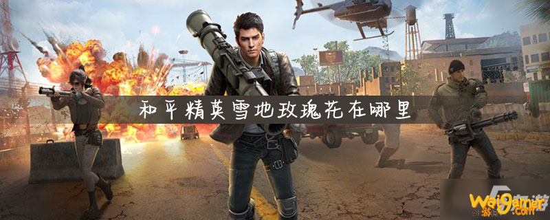 和平精英玫瑰园在哪
