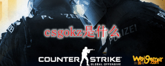 csgokz是什么