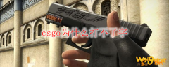 csgo为什么打不了字