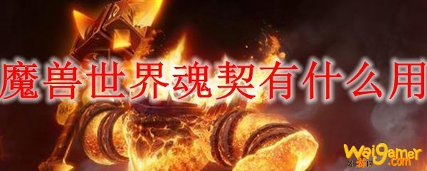 魔兽世界魂契有什么用