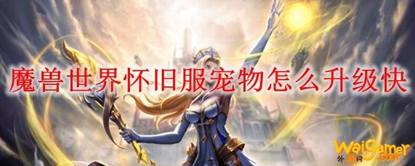 魔兽世界怀旧服宠物怎么升级快