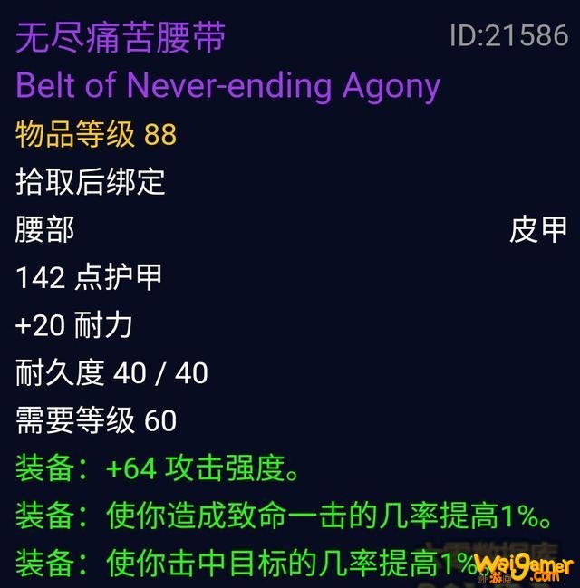  魔兽世界怀旧服P5盗贼配装