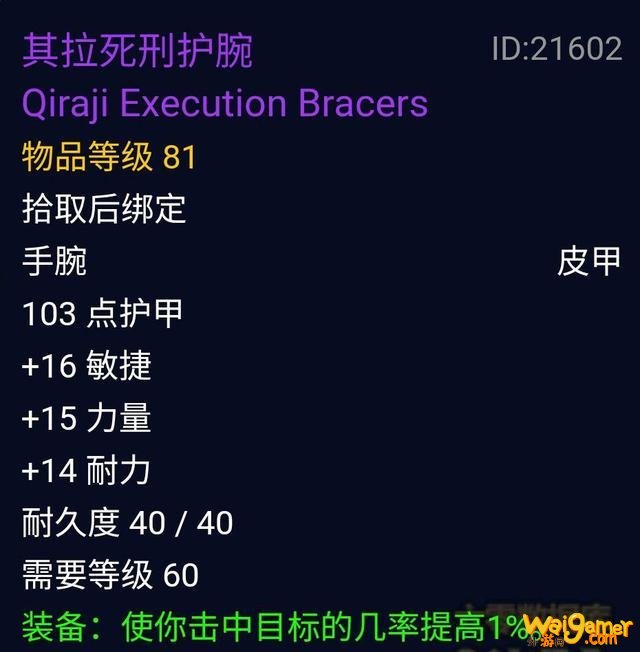  魔兽世界怀旧服P5盗贼配装