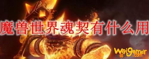 魔兽世界魂契有什么用 魔兽世界9.0魂契系统讲解