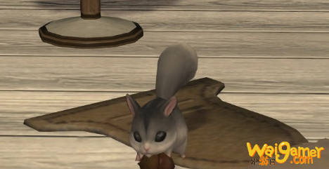 《FF14》食果花鼠获得方法