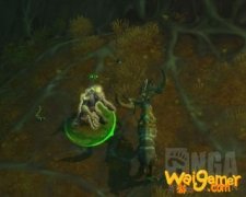 《魔兽世界》腐胆打法攻略