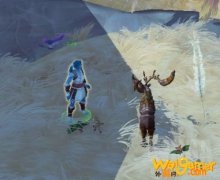 《魔兽世界》瑟尼亚打法攻略