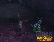 《魔兽世界》艾戈尔打法攻略