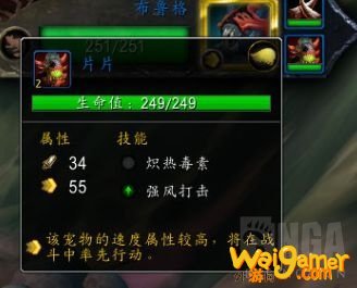 《魔兽世界》玛卓克萨斯世界任务介绍