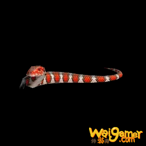 魔兽世界9.0猎人可抓宠物大全