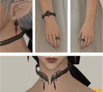 《FF14》瓦勒良饰品介绍