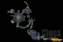 《魔兽世界》怀旧服黑暗深渊首领掉落大全