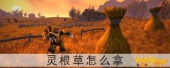 魔兽世界怀旧服灵根草怎么拿-灵根草哪里有