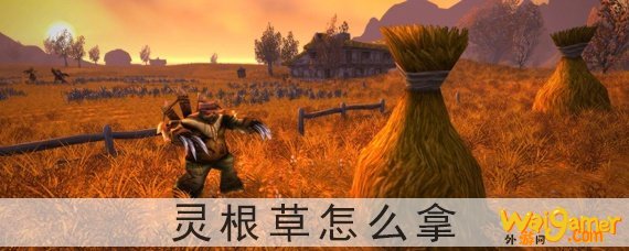 灵根草怎么拿