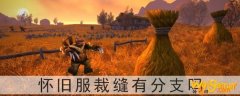 魔兽世界怀旧服裁缝有分支吗-裁缝分支是什么