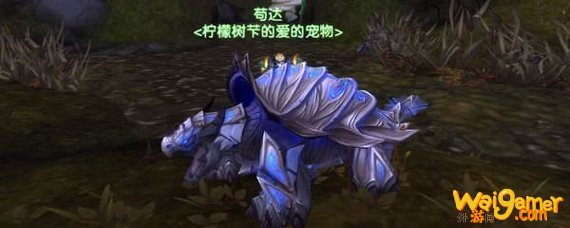魔兽世界乌龟吃什么
