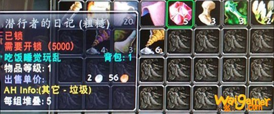 魔兽世界怀旧服潜行者的日记有什么用