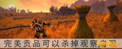 魔兽世界完美贡品可以杀掉观察者吗-杀了观察者影响完美厄运吗