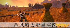 魔兽世界怀旧服暴风城去哪里买肉-暴风城哪能买到肉