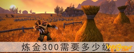 炼金300需要多少级