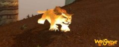 魔兽世界怀旧服猎人宝宝断牙属性怎么样-猎人宝宝断牙属性介绍