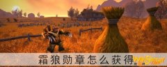 魔兽世界怀旧服霜狼勋章怎么获得-霜狼勋章怎么弄