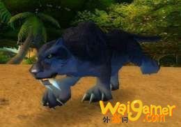 wow荆棘谷丛林猎豹在哪