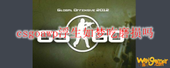 csgoawp浮生如梦吃磨损吗
