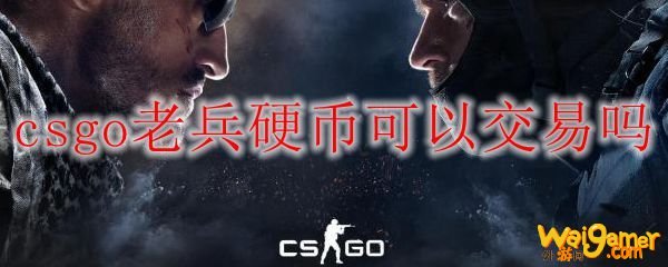 csgo老兵硬币可以交易吗