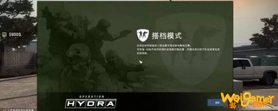 csgo搭档模式什么意思