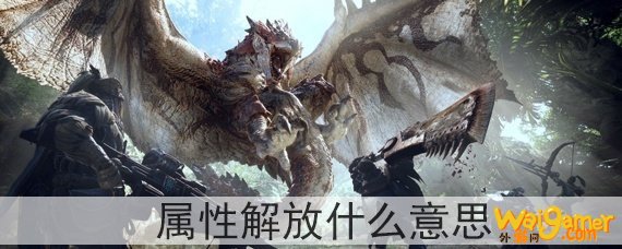 怪物猎人属性解放什么意思