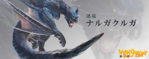 怪物猎人世界迅龙弱什么