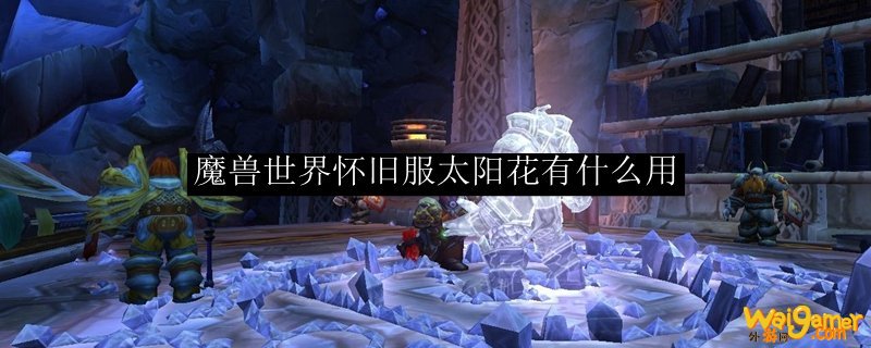 魔兽世界怀旧服太阳花有什么用