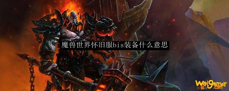 魔兽怀旧服bis装备什么意思