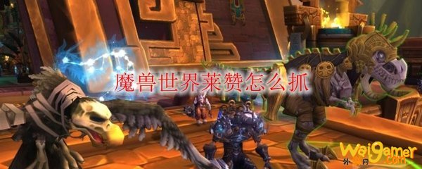 魔兽世界莱赞怎么抓