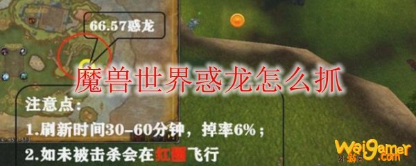魔兽世界惑龙怎么抓