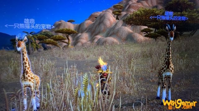 《魔兽世界》长颈鹿宠物位置