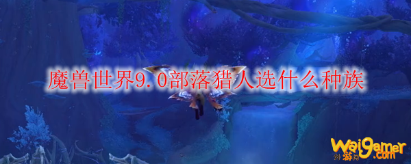 魔兽世界9.0部落猎人选什么种族