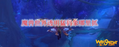 魔兽世界透明猛犸象哪里抓