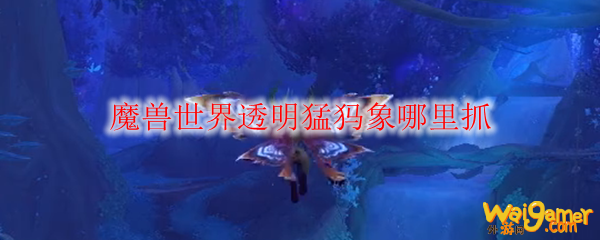 魔兽世界透明猛犸象哪里抓