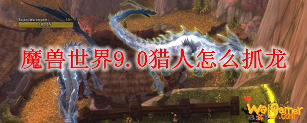 魔兽世界9.0猎人怎么抓龙