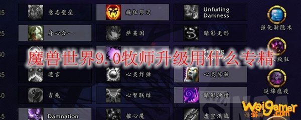 魔兽世界9.0牧师升级用什么专精