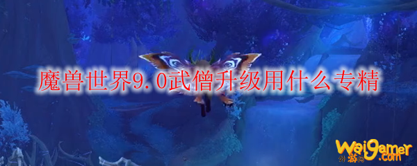魔兽世界9.0武僧升级用什么专精