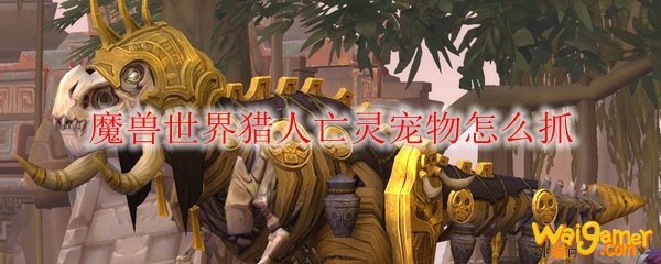魔兽世界猎人亡灵宠物怎么抓