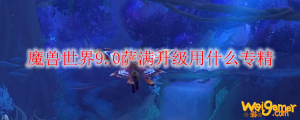 魔兽世界9.0萨满升级用什么专精