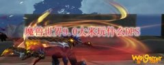 魔兽世界9.0大米玩什么DPS