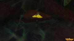 《魔兽世界》脊虫获取方式