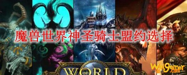 魔兽世界神圣骑士盟约选择
