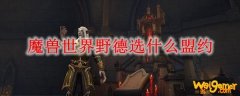 魔兽世界野德选什么盟约