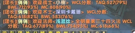 魔兽世界怀旧服wa插件字符串 WCL评分和服务器排行查询